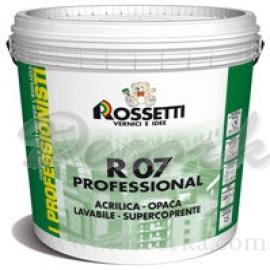 R07 PROFESSIONAL - концентрированная моющаяся матовая краска 4,5л.