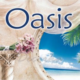Защитный воск Эльф Decor Oasis 1л